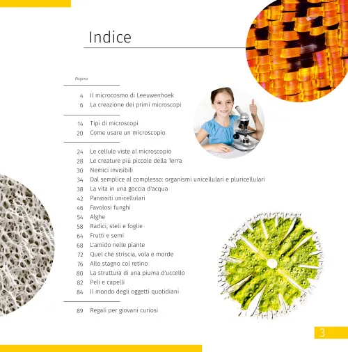 képe Láthatatlan világ. Ismeretterjesztő könyv,  7