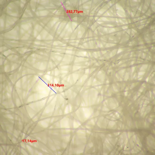 képe MAGUS Stereo D9T LCD sztereomikroszkóp digitális ,  26