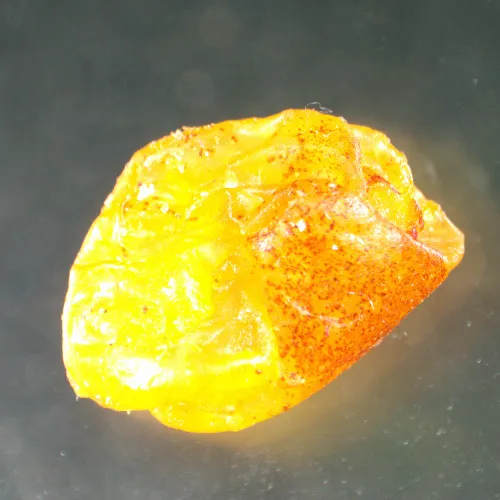 fotója  MAGUS Stereo A8 sztereomikroszkóp,  15