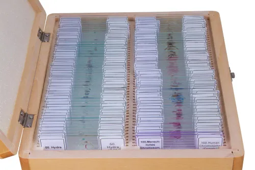 fotója Bresser előkészített tárgylemez készlet 100 darabos, tokkal,  3