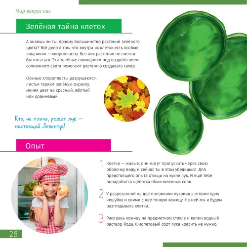 6463664 Levenhuk Discovery Nano Polar digitális mikroszkóp és könyv,  5