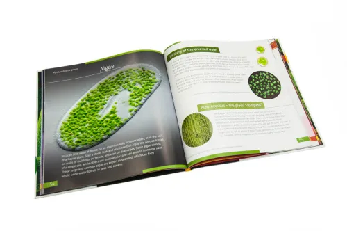 fényképe Láthatatlan világ. Ismeretterjesztő könyv. Keményfedeles,  3