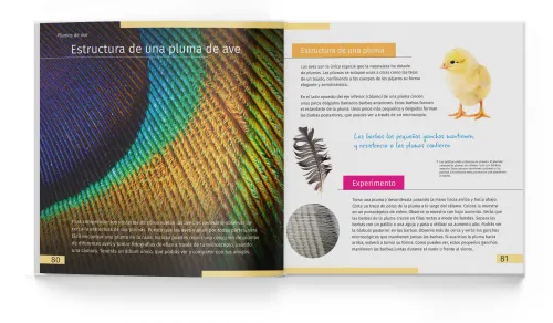 fényképe Láthatatlan világ. Ismeretterjesztő könyv. Keményfedeles,  4