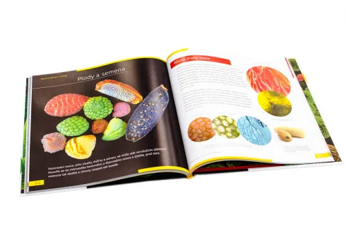 fényképe Láthatatlan világ. Ismeretterjesztő könyv. Keményfedeles,  10