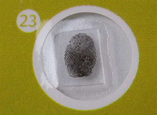 fotója Levenhuk LabZZ P12 Növények – előkészített tárgylemez-készlet,  7