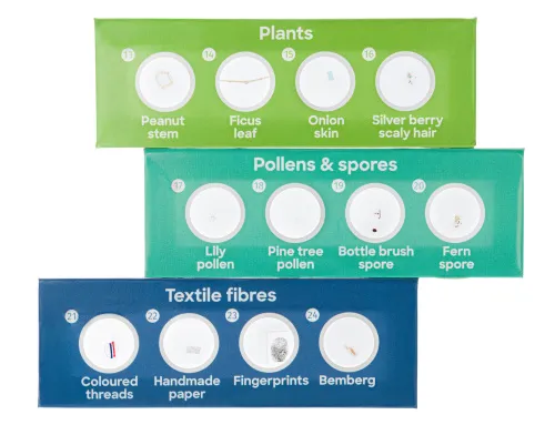 6463664 Levenhuk Discovery Flora – 12 előkészített tárgylemez-készlet,  3