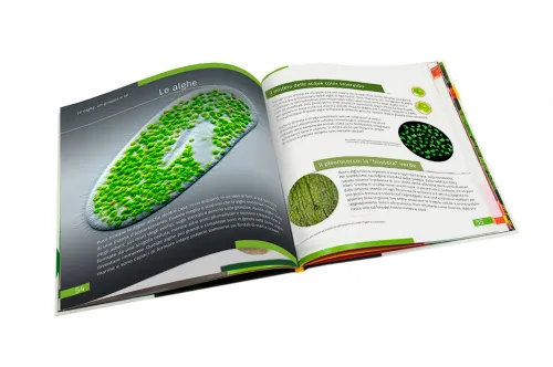 fényképe Láthatatlan világ. Ismeretterjesztő könyv. Keményfedeles,  3