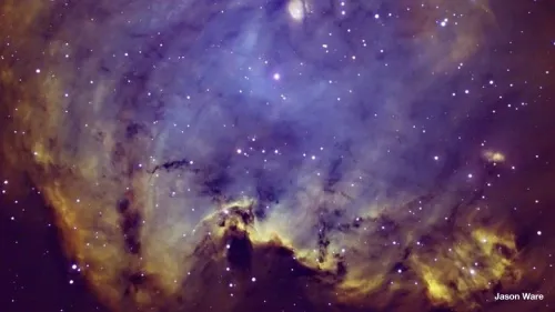 6463664 Meade 14"-os, F/8-as továbbfejlesztett kómahibamentes optikai tubusszerelvény,  10