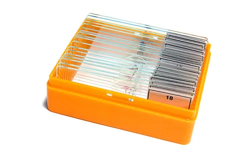 fényképe Levenhuk N18 NG előkészített tárgylemezkészlet,  5