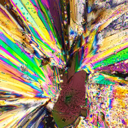 fotója MAGUS SPD1 polarizátor/analizátor készlet,  3