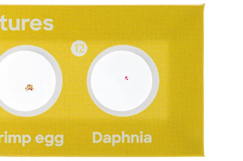 fényképe Levenhuk Discovery Flora & Fauna – 24 előkészített tárgylemezkészlet,  7