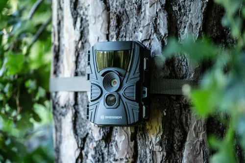 fényképe Bresser 60°-os vadvilág-megfigyelő 5–20 MP kamera,  8