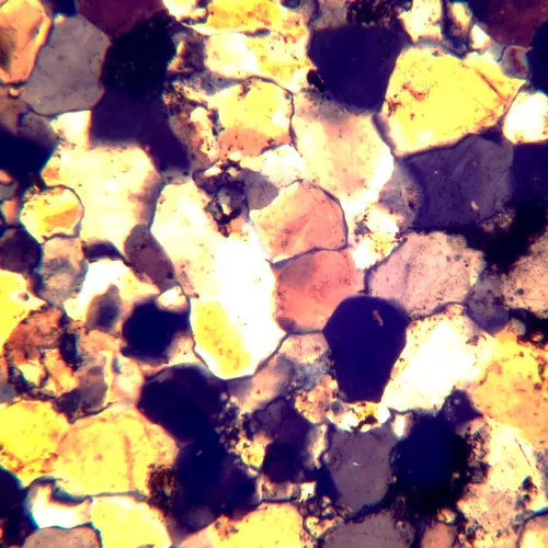 fényképe MAGUS Pol 800 polarizáló mikroszkóp,  18