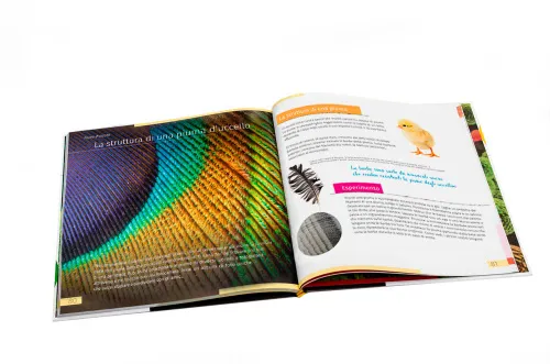 fényképe Láthatatlan világ. Ismeretterjesztő könyv. Keményfedeles,  4