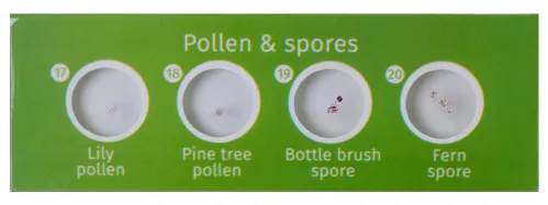 fotója Levenhuk LabZZ P12 Növények – előkészített tárgylemez-készlet,  3