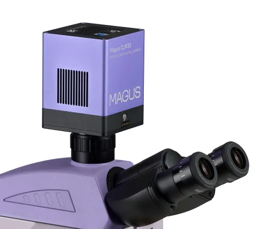 fényképe MAGUS Lum D450L fluoreszcens digitális mikroszkóp,  21