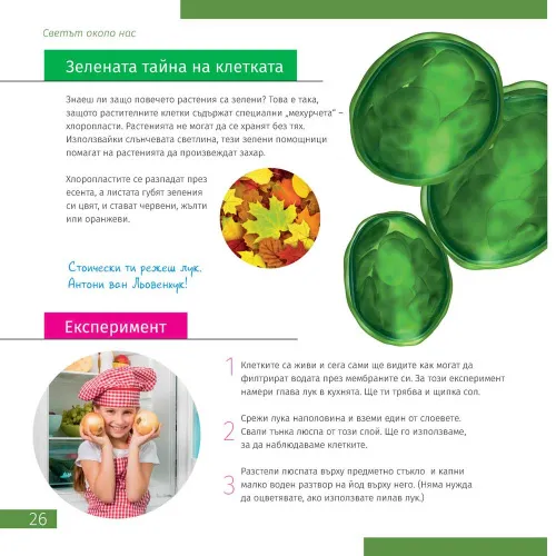 képe Láthatatlan világ. Ismeretterjesztő könyv,  4