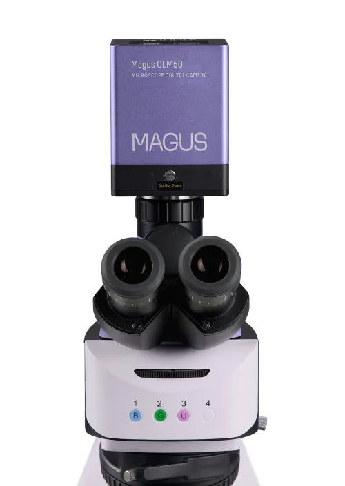fotója MAGUS Lum D460L fluoreszcens digitális mikroszkóp,  11