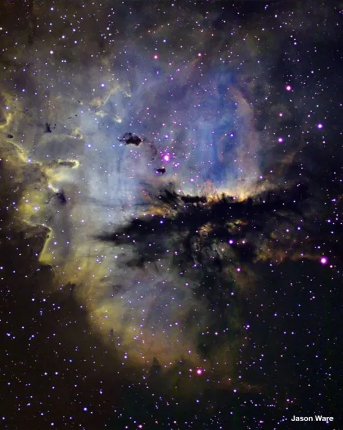 6463664 Meade 14"-os, F/8-as továbbfejlesztett kómahibamentes optikai tubusszerelvény,  5