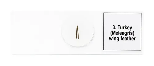 6463664 Levenhuk Discovery Prof DPS 5 mikropreparátum mintakészlet. „Madarak”,  7