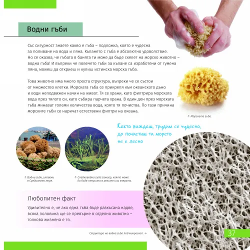 képe Láthatatlan világ. Ismeretterjesztő könyv,  7