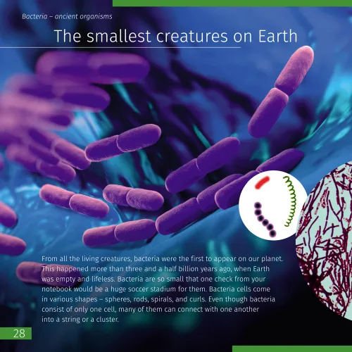 képe Láthatatlan világ. Ismeretterjesztő könyv,  5