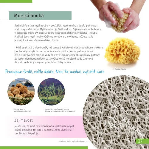 fényképe Láthatatlan világ. Ismeretterjesztő könyv. Keményfedeles,  7