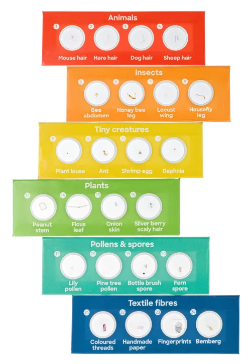 képe Levenhuk Discovery Nano mikroszkóp,  16