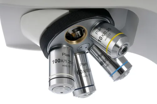 fotója Levenhuk MED D40T LCD digitális trinokuláris mikroszkóp,  9