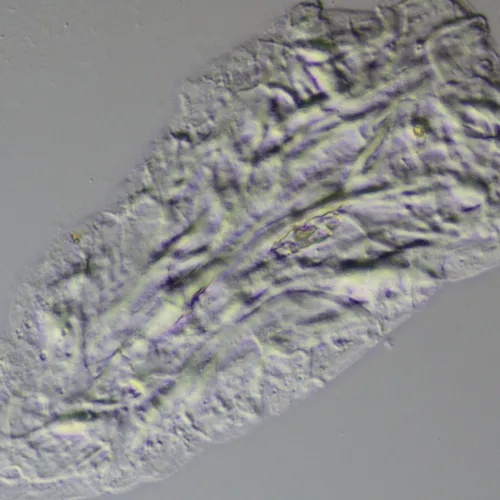 fényképe MAGUS DIC290 tartozékkészlet,  11