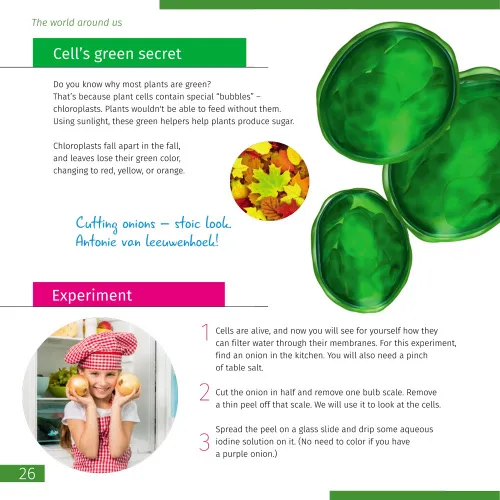 képe Láthatatlan világ. Ismeretterjesztő könyv,  4