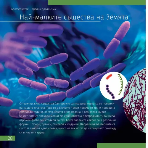 képe Láthatatlan világ. Ismeretterjesztő könyv,  5