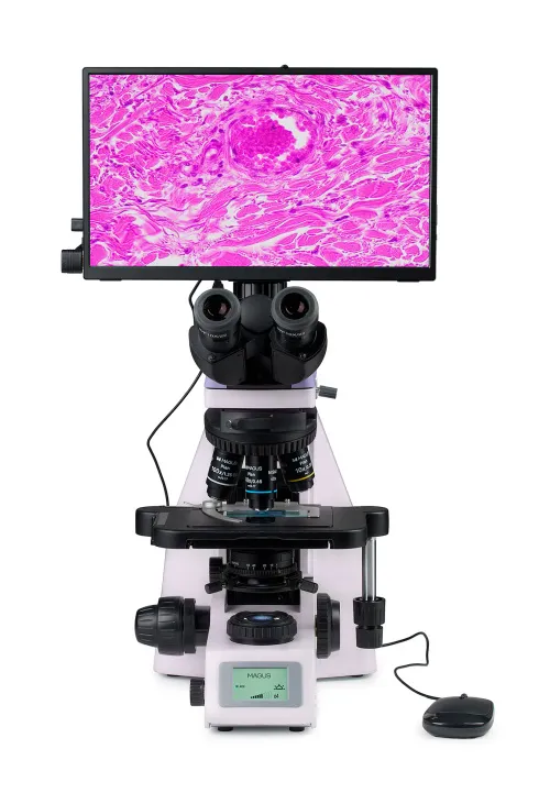 fényképe MAGUS Bio D260T LCD biológiai digitális mikroszkóp,  8