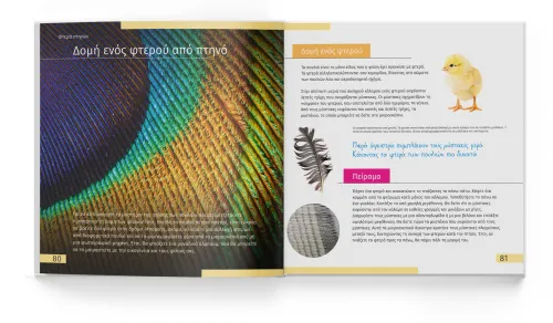 képe Láthatatlan világ. Ismeretterjesztő könyv,  4