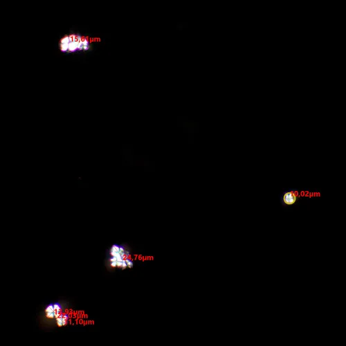 fotója MAGUS SPD1 polarizátor/analizátor készlet,  8