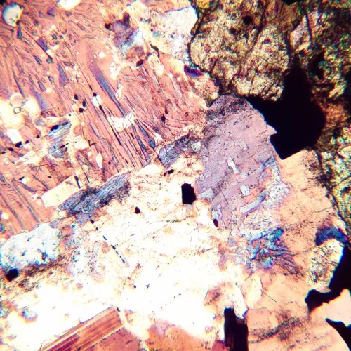 fényképe MAGUS Pol D800 polarizáló digitális mikroszkóp,  20