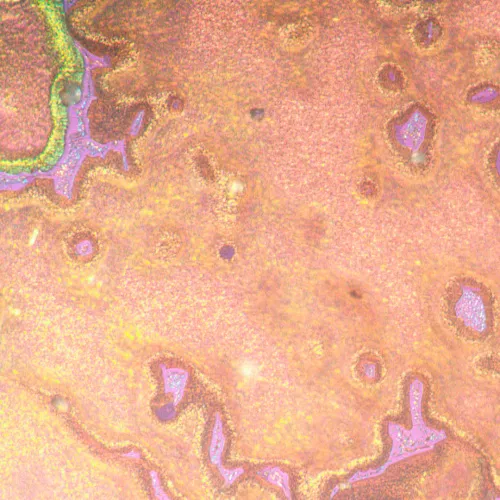 képe MAGUS Metal V790 DIC metallográfiai fordított mikroszkóp,  22