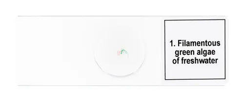 6463664 Levenhuk Discovery Prof DPS 5 mikropreparátum mintakészlet. „Biológia”,  7