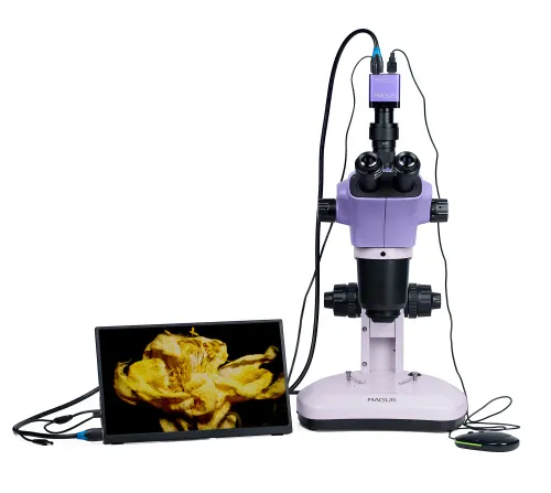 képe MAGUS Stereo D9T LCD sztereomikroszkóp digitális ,  6