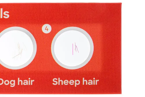 fényképe Levenhuk Discovery Flora & Fauna – 24 előkészített tárgylemezkészlet,  4