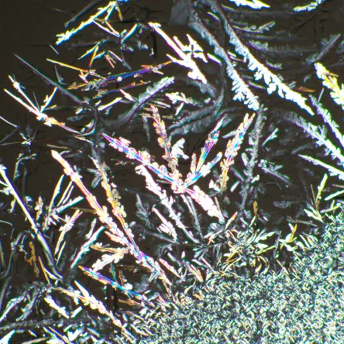 fotója MAGUS SPD1 polarizátor/analizátor készlet,  6