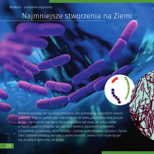 képe Láthatatlan világ. Ismeretterjesztő könyv,  5