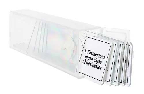 6463664 Levenhuk Discovery Prof DPS 5 mikropreparátum mintakészlet. „Biológia”,  5