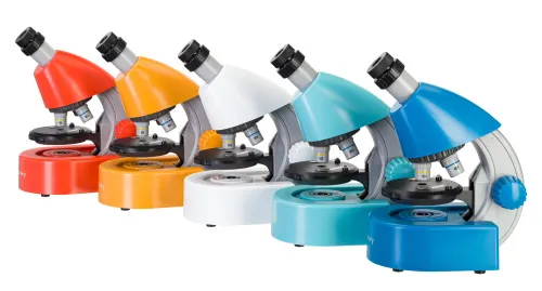 fotója Levenhuk Discovery Micro mikroszkóp és könyv,  3