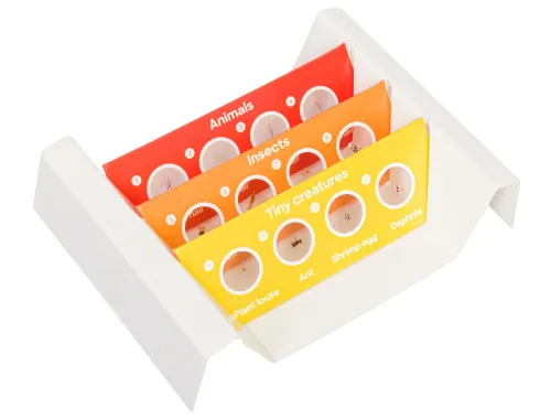 6463664 Levenhuk Discovery Fauna – 12 előkészített tárgylemez-készlet,  2