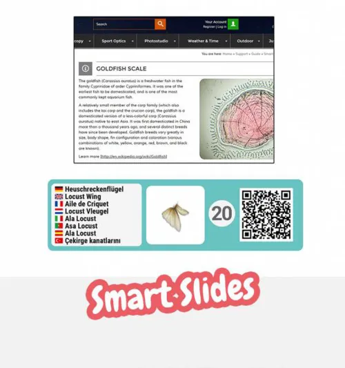 képe Bresser Junior mikroszkóp készlet,  5