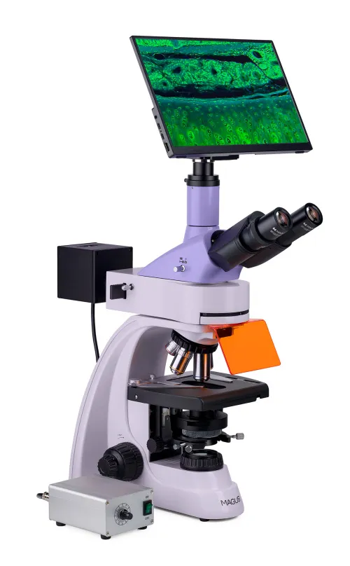 fényképe MAGUS Lum D400L LCD fluoreszcens digitális mikroszkóp,  4