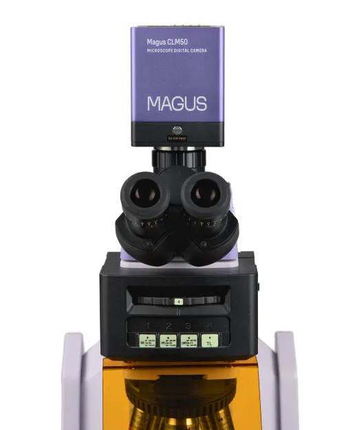 fotója MAGUS Lum D470L fluoreszcens digitális mikroszkóp,  11