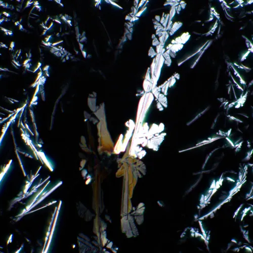 fotója MAGUS SPD1 polarizátor/analizátor készlet,  7