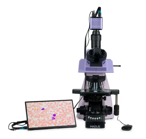 képe MAGUS Bio D290T LCD biológiai digitális mikroszkóp,  8